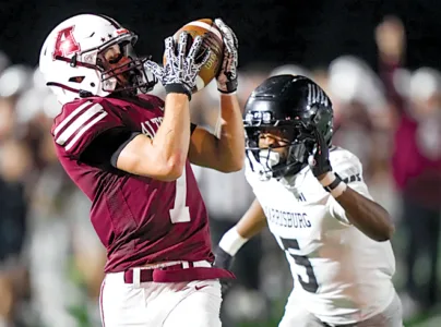 Altoona Mountain Lions battle, but fall short to Harrisburg